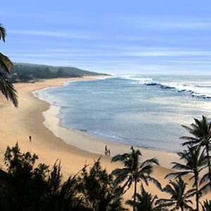Go Wild Beach Resort
